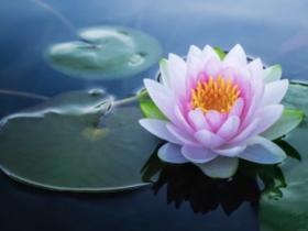 別把“敬”字修偏了