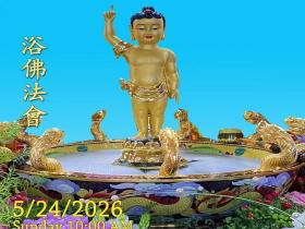 華藏學佛苑於2026年5月24日恭祝南無釋迦牟尼佛佛誕浴佛法會通啟