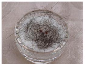 第三世多杰羌佛的發舍利