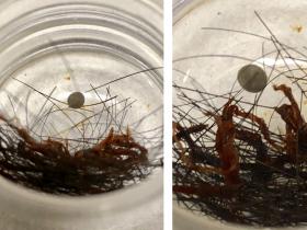 南無第三世多杰羌佛的髪舍利