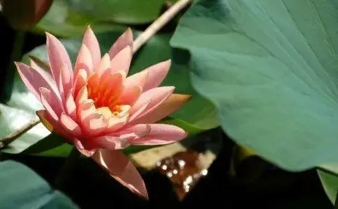 如法聞法給我深深的觸動