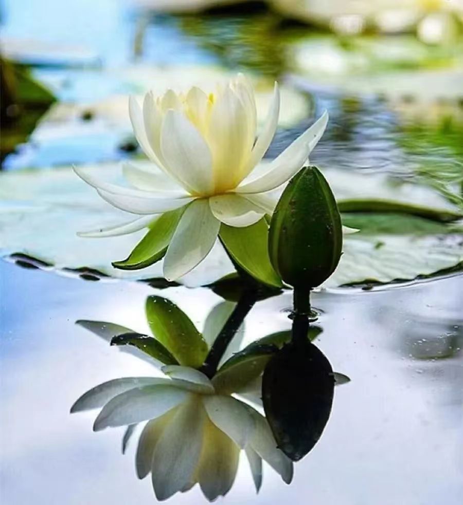 如法聞法給我深深的觸動-图片1