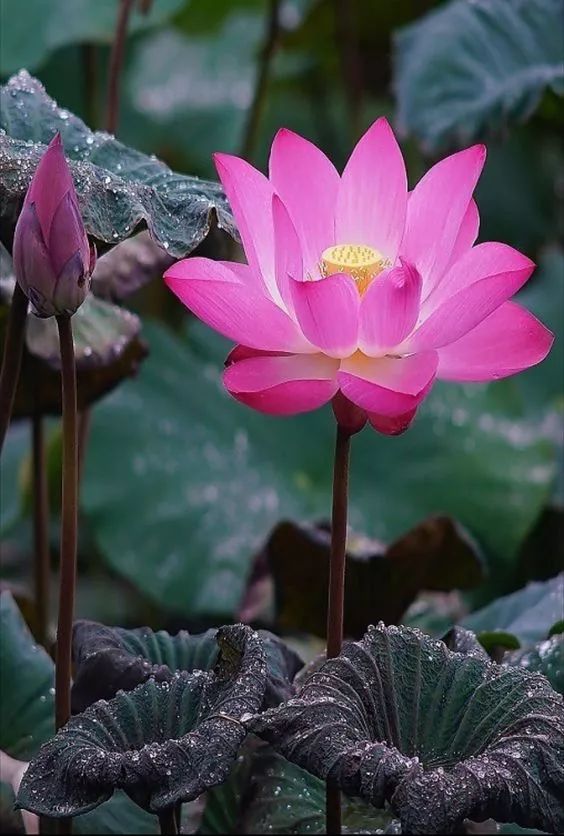 如法聞法給我深深的觸動-图片2