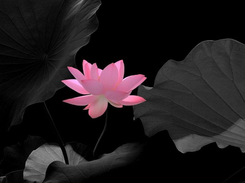 如法聞法付諸于實踐修行讓我疼了七年的類風濕，完全消失了