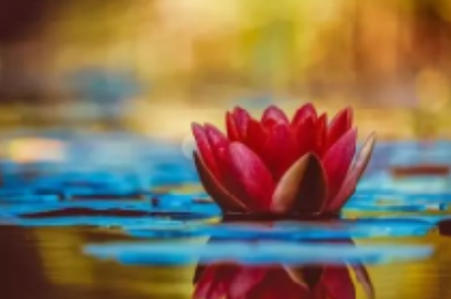 一次挑戰法音精華提取共修主持人，讓我聞法上了一個大臺階