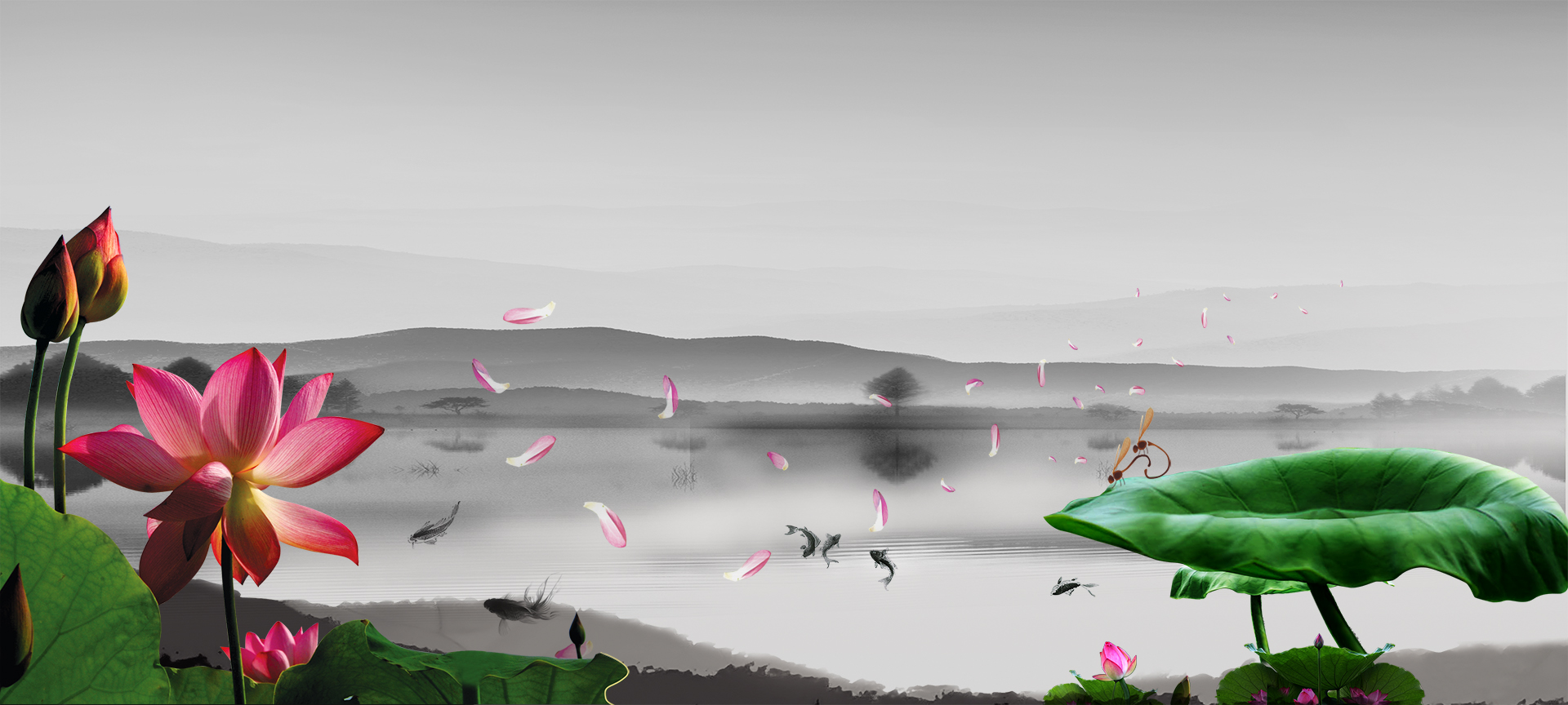 《认识南无羌佛》第一集 ~ 第三集