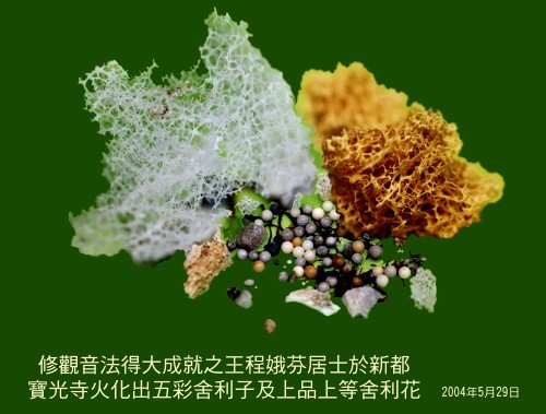 毫光遍地佛光紛飛聖號三界徹震諸佛現全身 王程娥芬居士及丈夫王靈澤居士學到真正的佛法得大成就