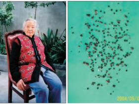 我母親“唐婆婆”得解脫