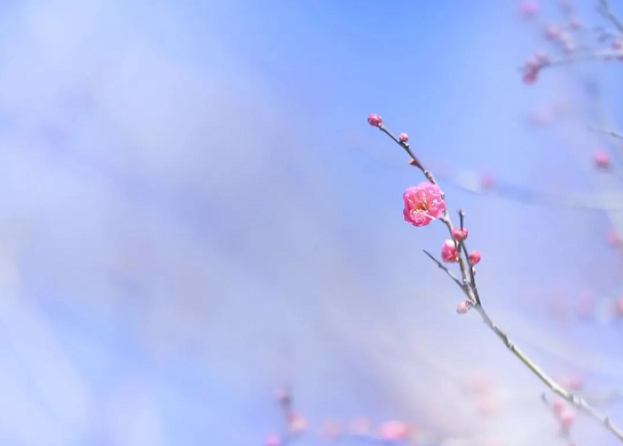 佛法不是宣傳學 而是自修學-图片1