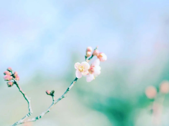 佛法不是宣傳學 而是自修學-图片3