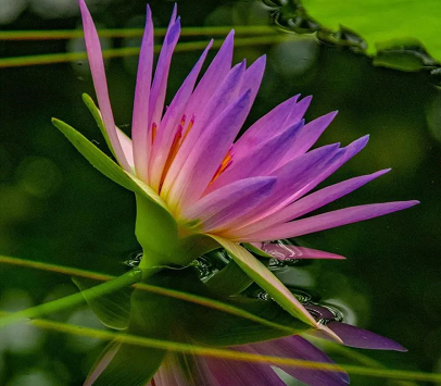 人生奇遇 ，佛陀加持我在沒有醫保的情況先免費手術