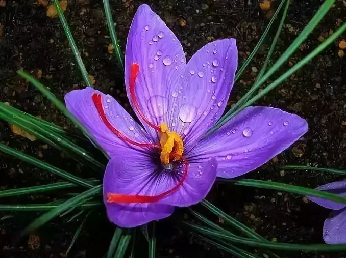 魔強法弱的時代,如何正確選擇佛法?