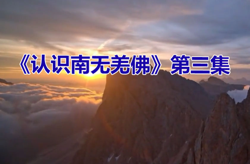 《认识南无羌佛》第三集