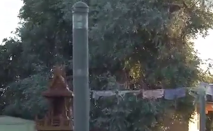 【視頻】金剛寶座寺聖金剛柱顫動