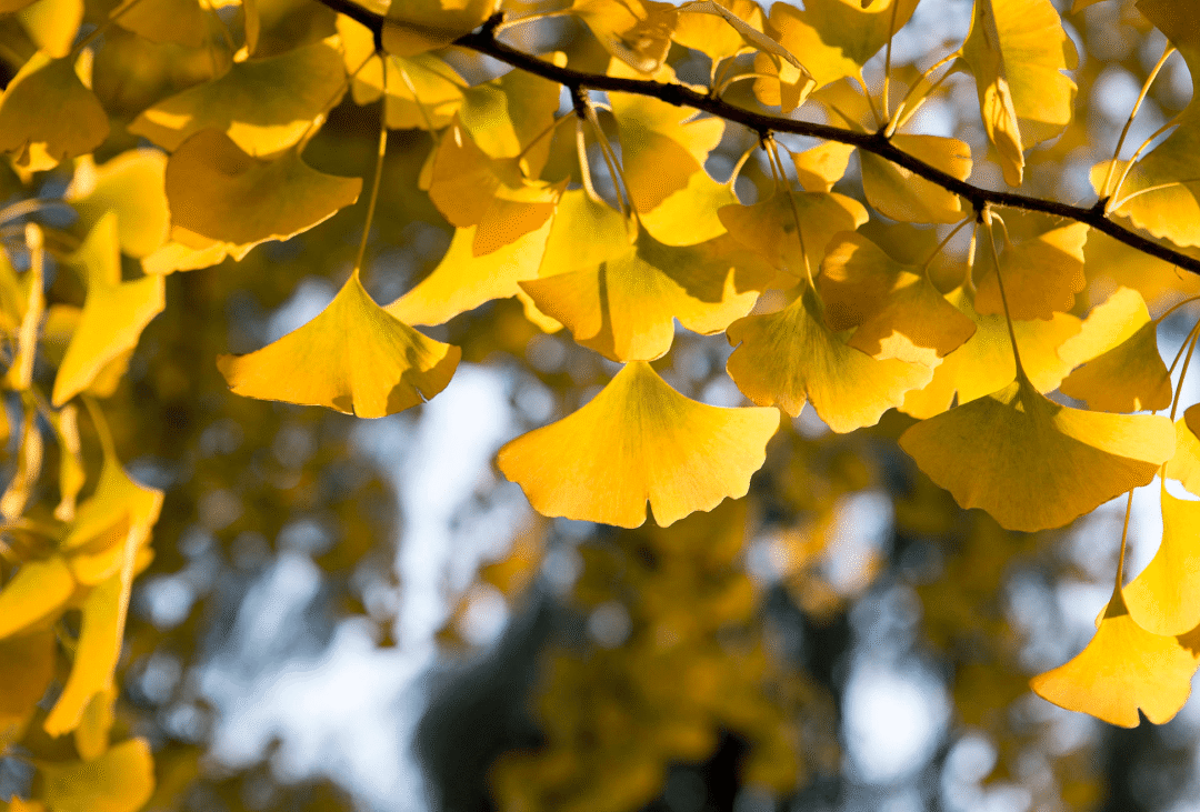所知障在不知不覺中犯了?快來看你有沒有犯?-图片1