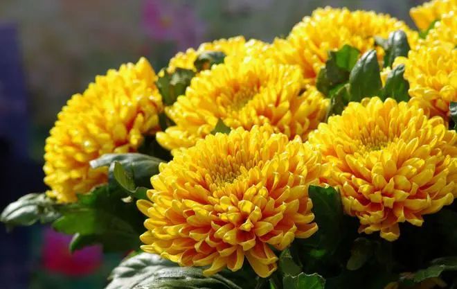 人命在呼吸間,把握每個當下修福修慧,才能成就解脫-图片2