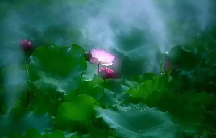 國際佛教僧尼總會公告（公告字第20140102號）