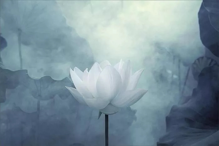 聖德高僧們的重要答覆(農曆正月初五:第五道答案)