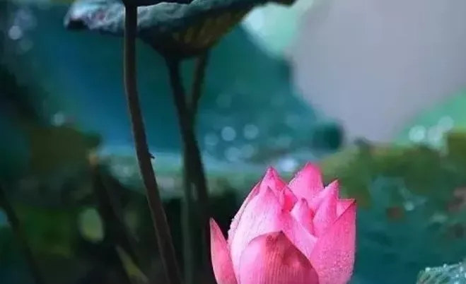 聖德高僧們的重要答覆(農曆正月初六:第六道答案)