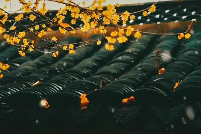 聖德高僧們的重要答覆(農曆正月初七:第七道答案)