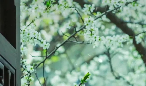 聖德高僧們的重要答覆(農曆正月初八:第八道答案)