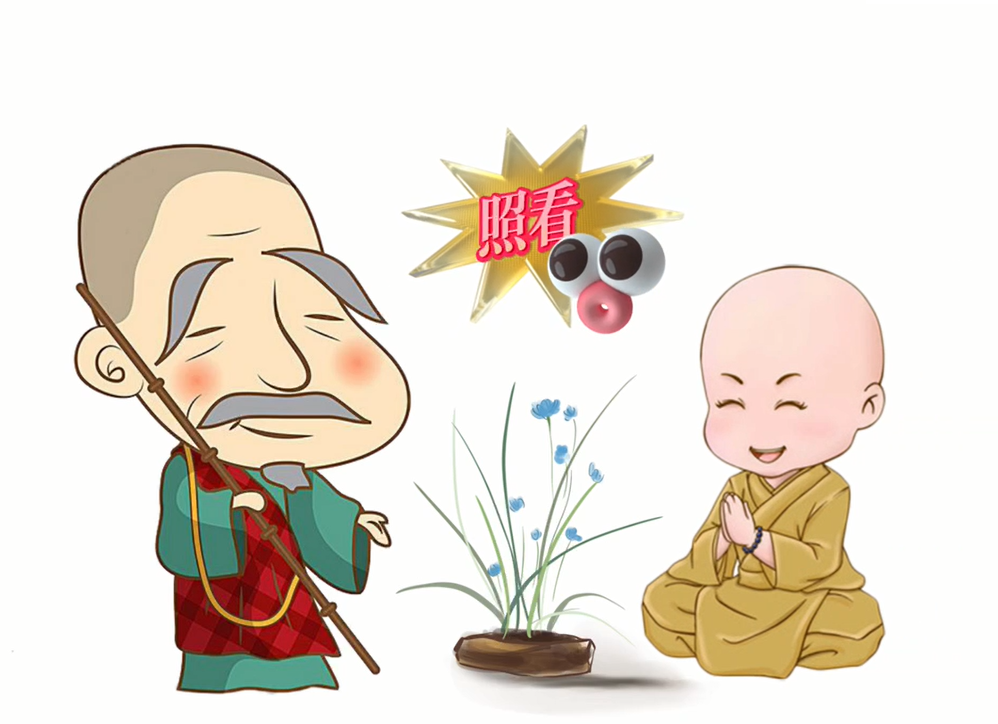 【視頻】老和尚的“養花真經”