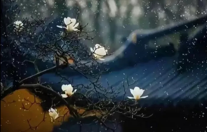 聖德高僧們的重要答覆(農曆正月十二:第十二道答案)