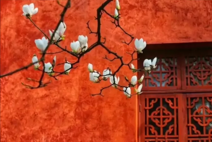 聖德高僧們的重要答覆(農曆正月十五:第十五道答案)