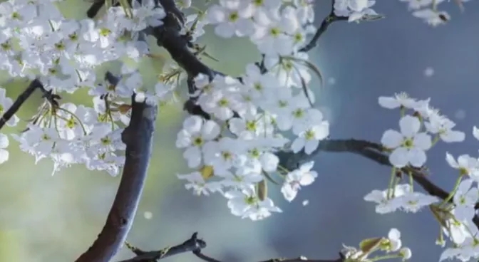 聖德高僧們的重要答覆(農曆正月十六:第十六道答案)