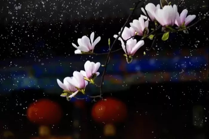 聖德高僧們的重要答覆(農曆正月十九:第十九道答案)