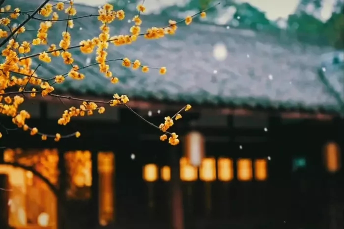 聖德高僧們的重要答覆(農曆正月二十三:第二十三道答案)