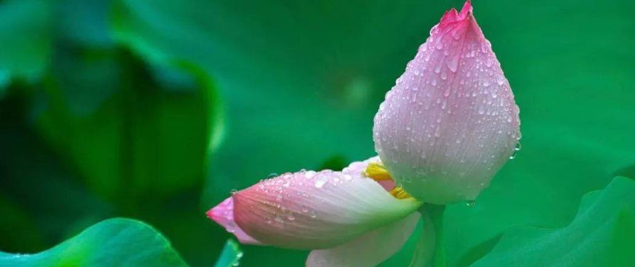 用這個方法我一定能做到“讓自己吃虧，讓他人得福”