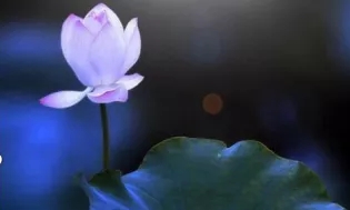 聖德高僧們的重要答覆(農曆正月二十七：第二十七道答案)