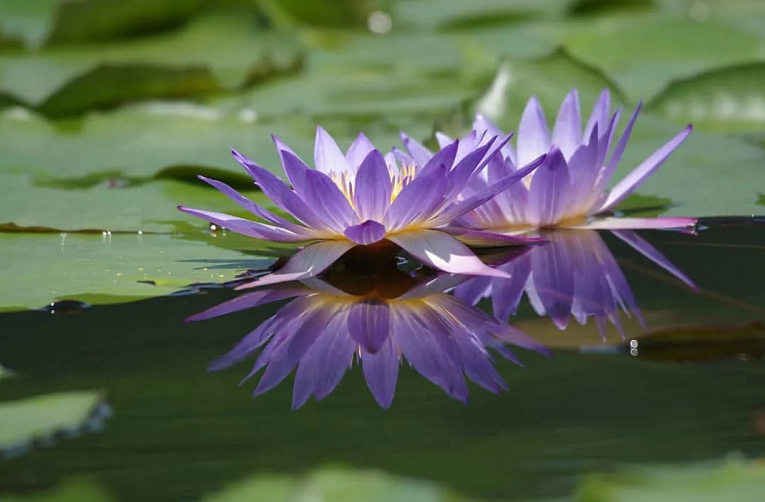 科學記筆記是如法聞法的一個重要環節，必須重視