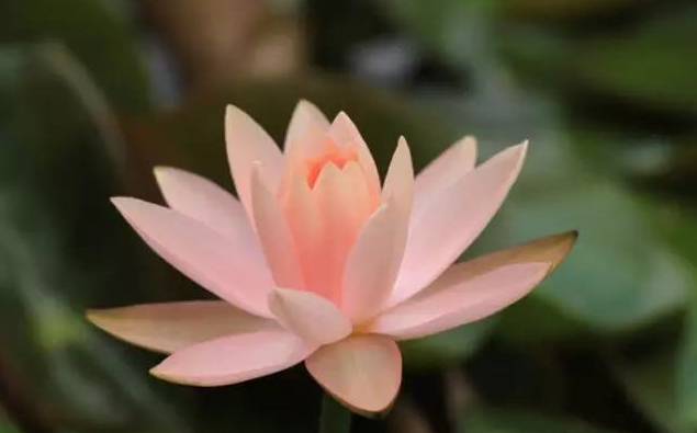 【視頻】她迷失山洞裡靠念觀世音菩薩聖號絕處逢生