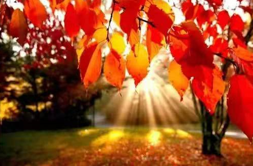 清明時節,終於體悟到“無常”的道理