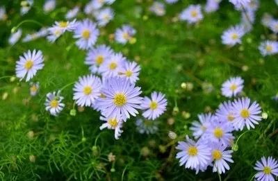 為什麽隻有經過聖考才能準確無誤地確定真正的聖者