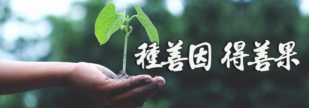 蘇軾與鳥為鄰，為自己種福田