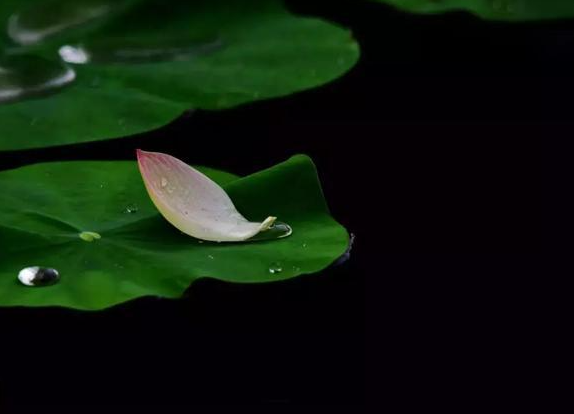 心境博大,生活就是幸福海洋