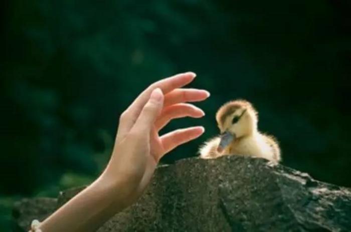 我的抗抑鬱經曆：這個世界上終有光明照破黑暗