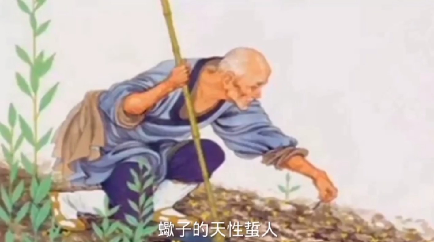 【視頻】牠會傷害你,你幹嘛要救牠?