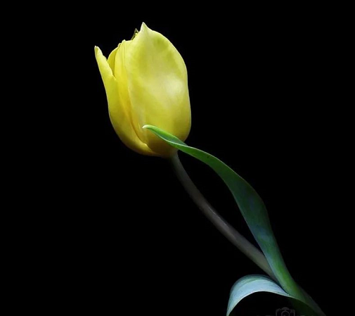 好習慣難養成,不妨用微量目標管理試試