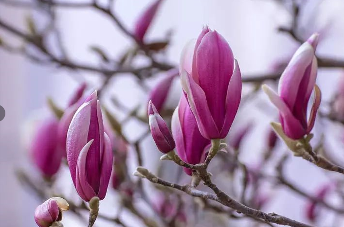 恭聞《以修自己的法和行為主體》法音的體悟