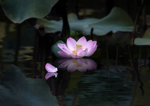 為了兒子能活下去，愛的力量讓他從外行到“封神”