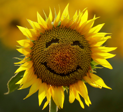 媽媽太有福報了，因為她去了更加幸福的地方