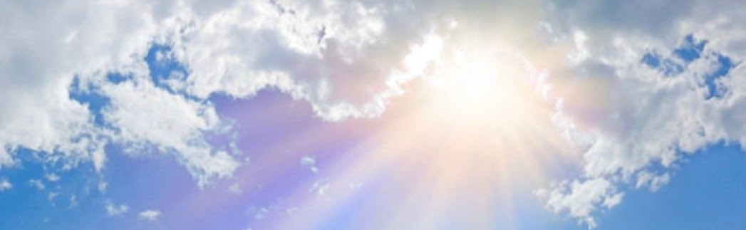 轉載：HHDCBIIICAM 文化藝術館：2024年1月14日 吉祥祈福放生活動-图片2