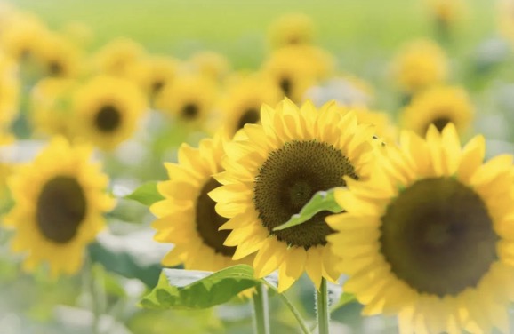 我們“家”的趣事