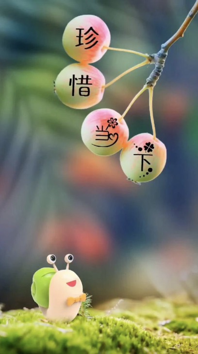 珍惜我们当下所拥有的