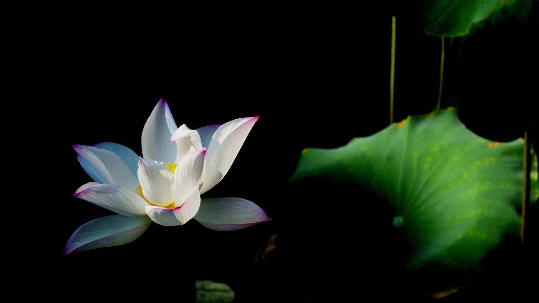 戒煙告別了昔日的生活