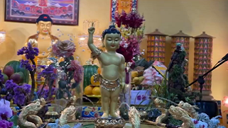 【視頻】華藏學佛苑舉辦恭迎南無釋迦牟尼佛佛誕法會剪輯